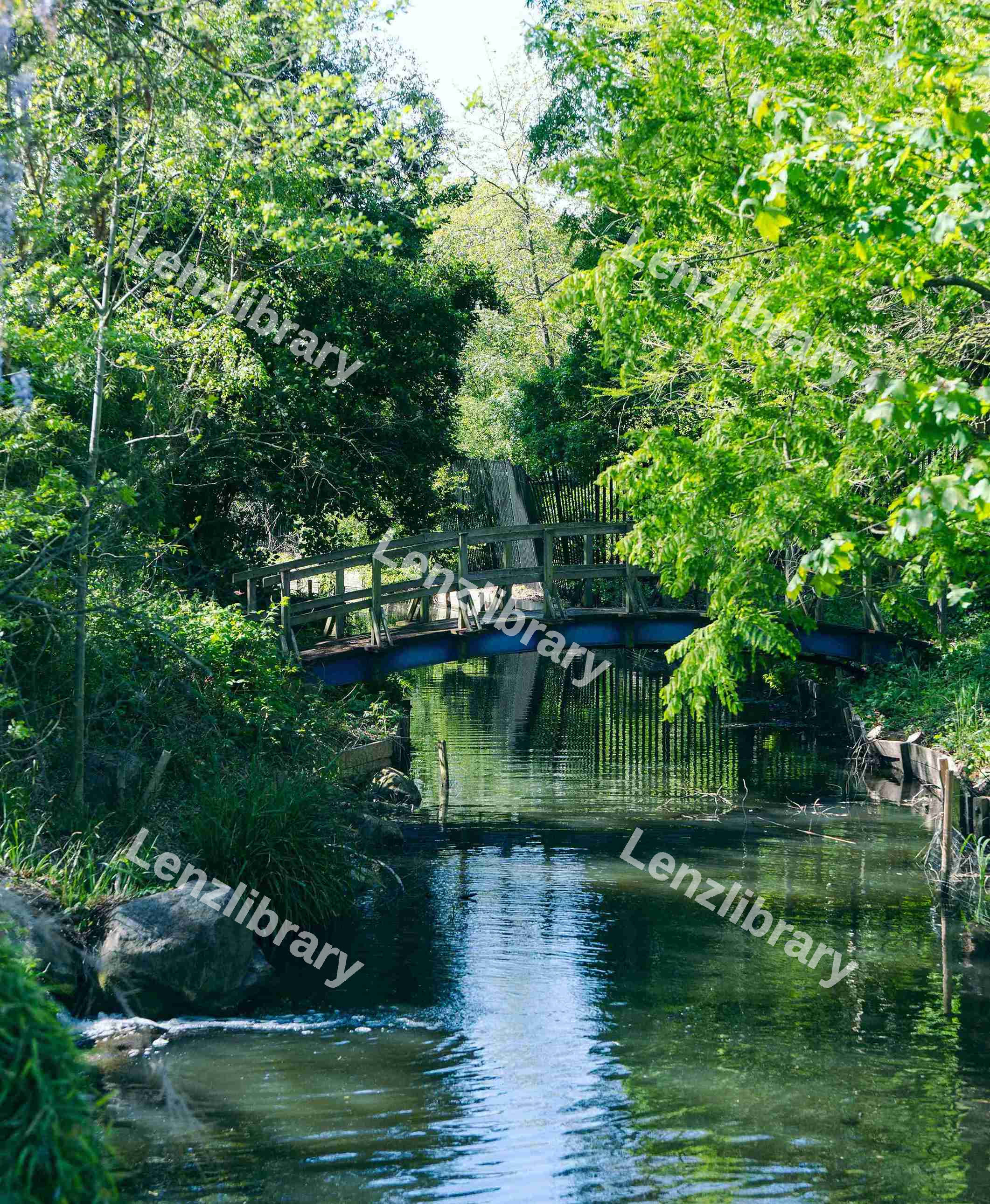 Canal In The Summer